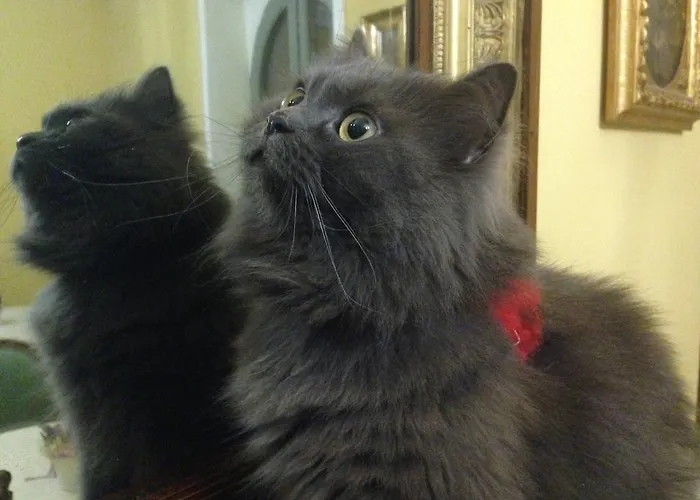 Milani Residenza D'epoca